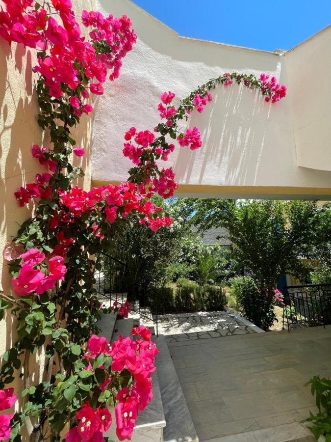 Sunflower Apartments & Studios Kassiopi Bagian luar foto
